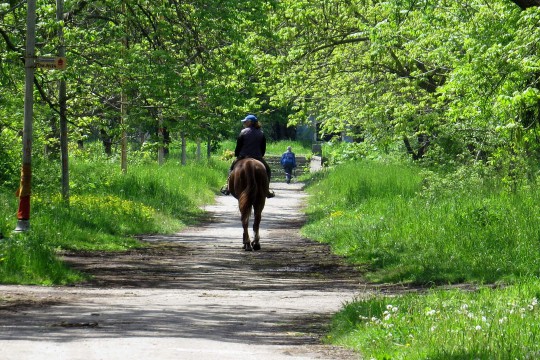 Relais Parco del Subasio | Agriturismo Assisi - A cavallo nel parco