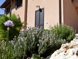 Relais Parco del Subasio | Agriturismo Assisi - Residenza Spoleto - Gallery 10